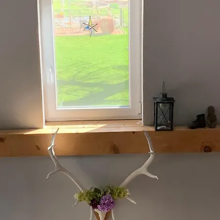 Ferienhaus Arendsee Dom wakacyjny Arendsee (Altmarkkreis Salzwedel)