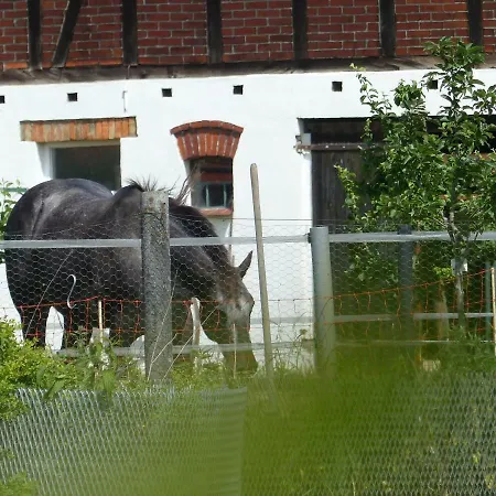 Dom wakacyjny Ferienhaus Arendsee