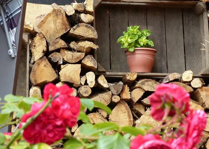 Semesterbostad Ferienhaus Arendsee Arendsee (Altmarkkreis Salzwedel)