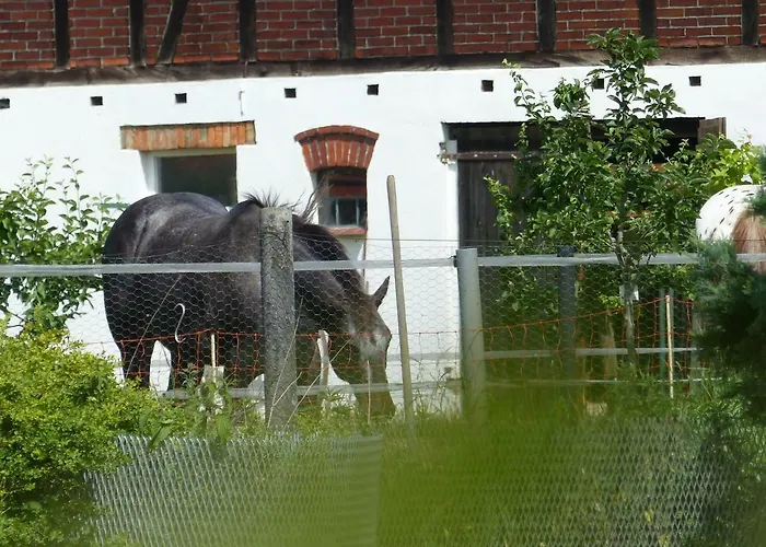 Semesterbostad Ferienhaus Arendsee
